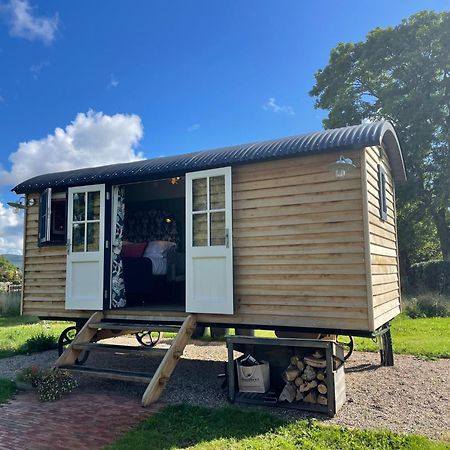 Toadland Shepherd Huts Дарем Экстерьер фото